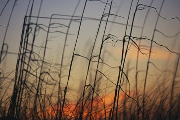 [Wind.bmp]