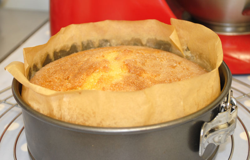 [lemoncake9b.jpg]