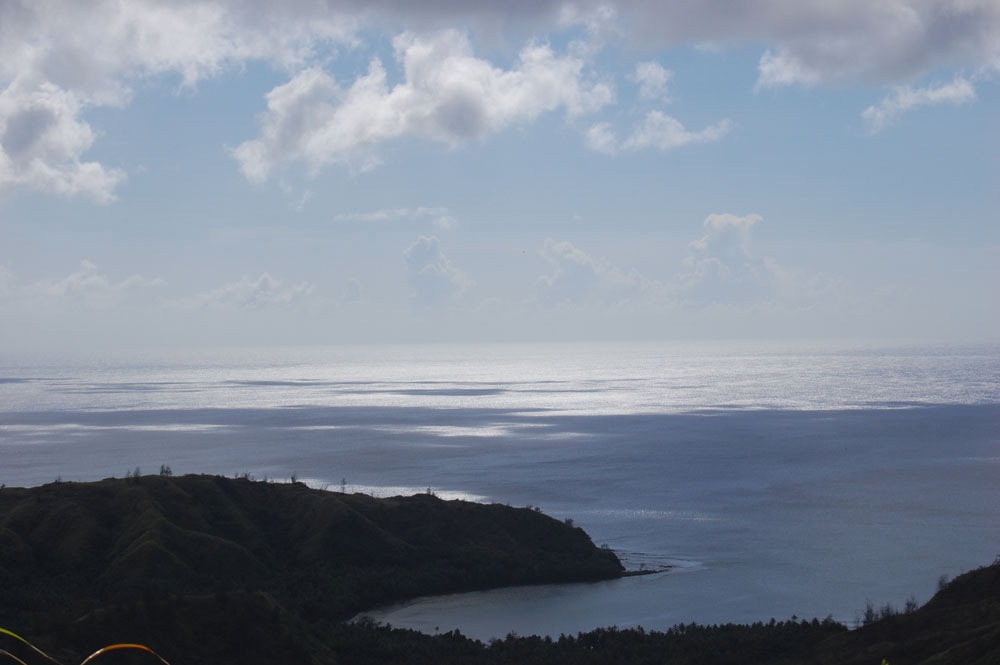 [DSC_0090.JPG]