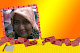 Foto saya
