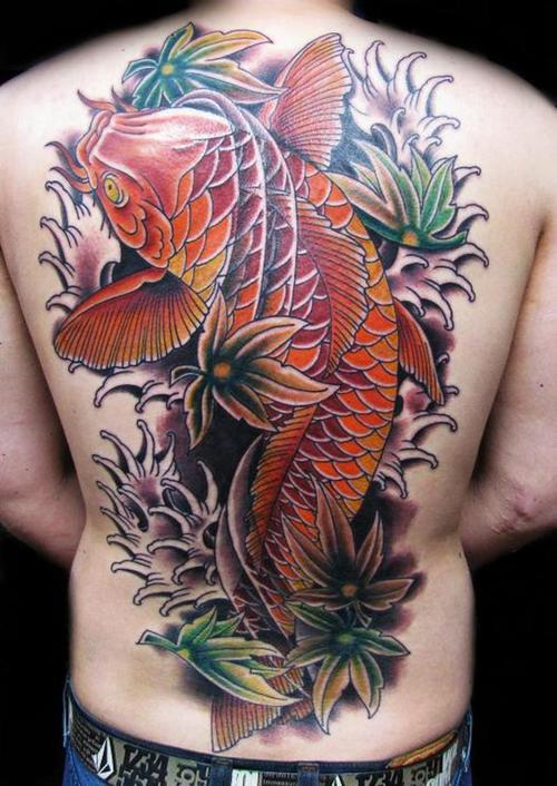 The word koi comes from Japanese Koi fish are specially bred in Japan for