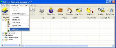 Internet Download Manager