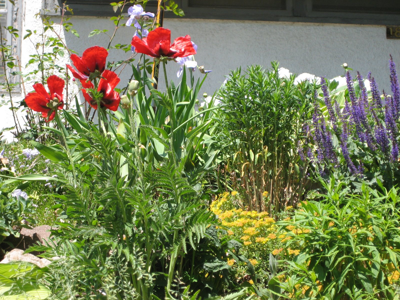 [IMG_3053.JPG]