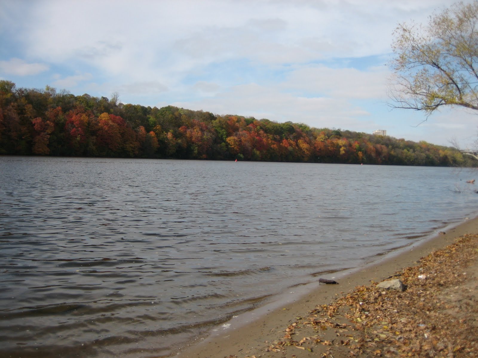 [IMG_3122.JPG]
