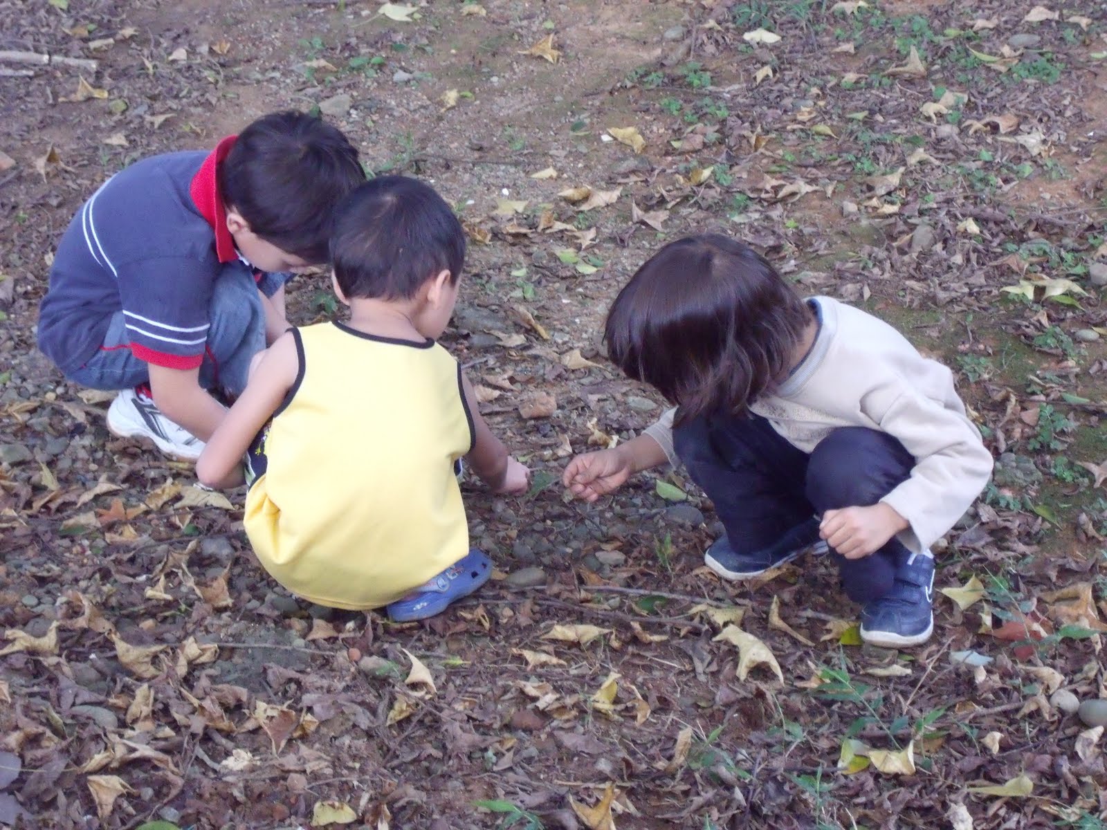 [DSCF2381.jpg]