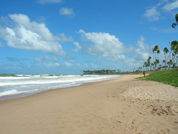 Bahian beach