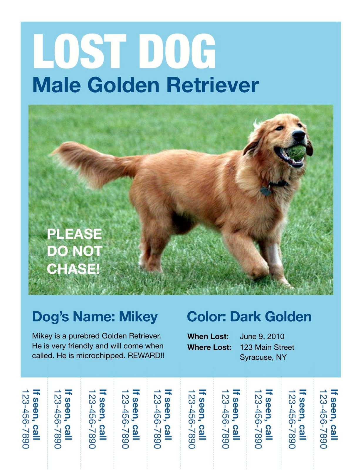 lost dog flyer template free