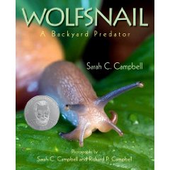 [wolfsnail.jpg]