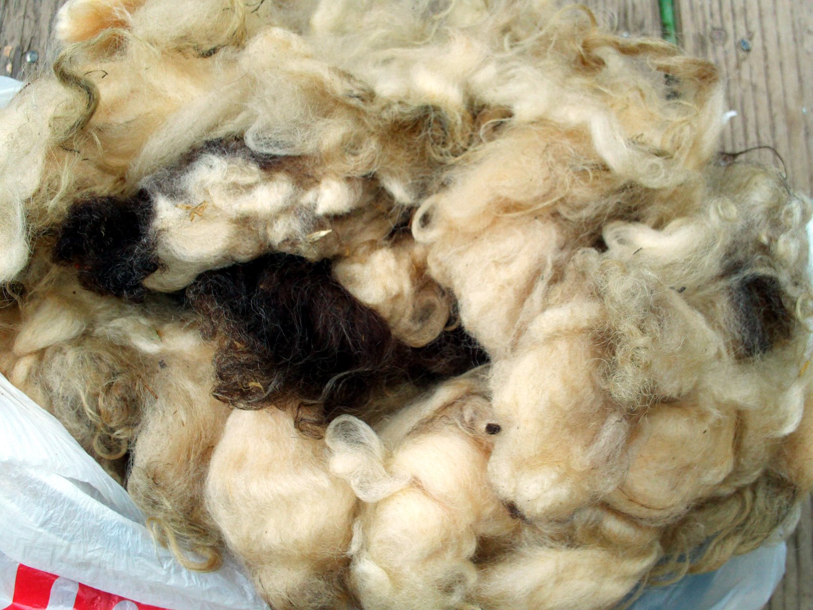 [Raw+Wool.jpg]