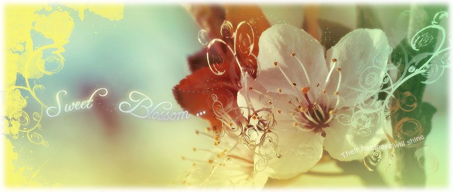 Sweet Blossom