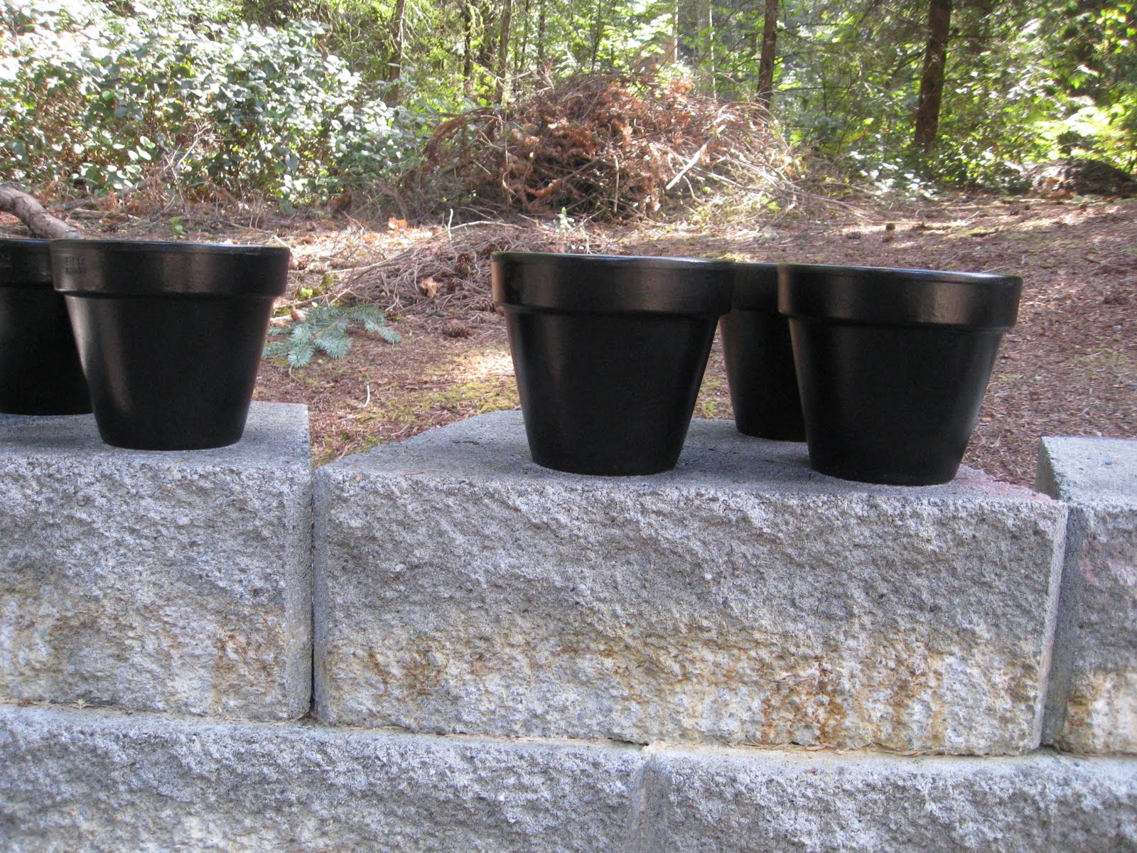 little irish house numbered flower pots