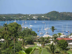 Neiafu Harbour