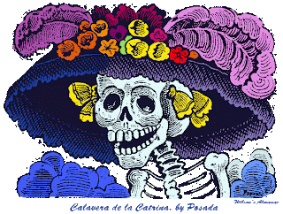 colima colima