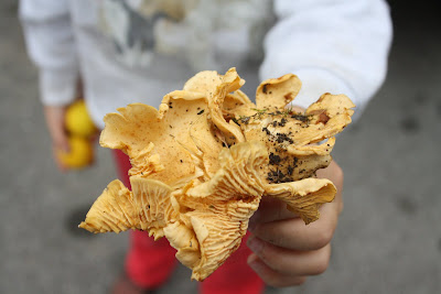 sito per incontrare ragazzi nuovi