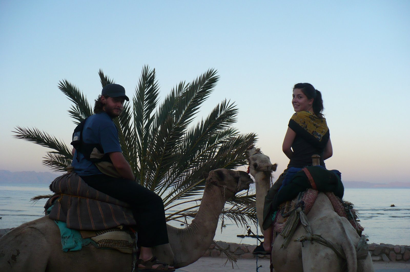 [camel+ride.JPG]