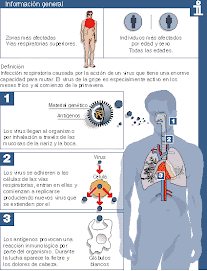 Virus de la gripe