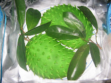 Pastri durian belanda(wajik) RM45