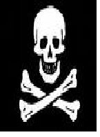 [skull.bmp]