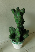 Heinekin cactus2