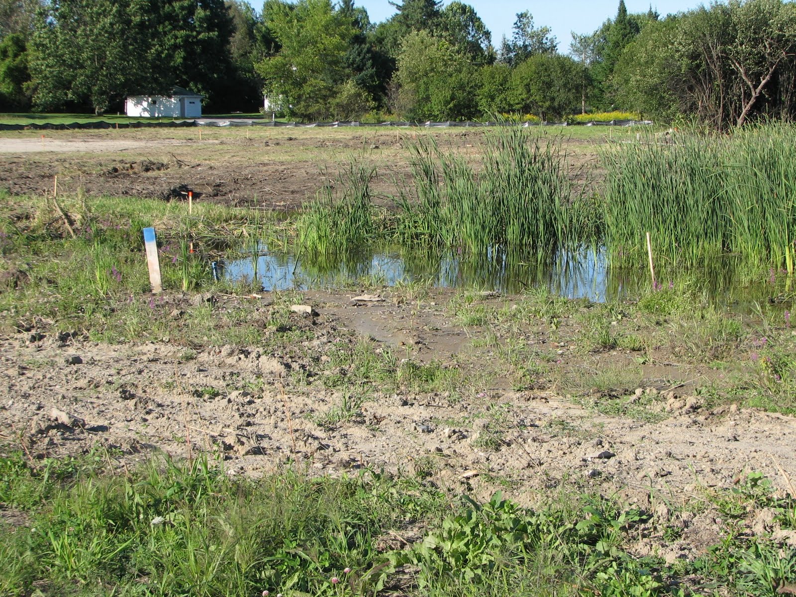 Building Our Perth Campus Building on the Floodplain