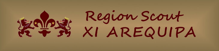 Region Scout XI Arequipa