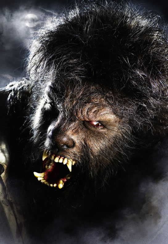 [deltoro-wolfman.jpg]