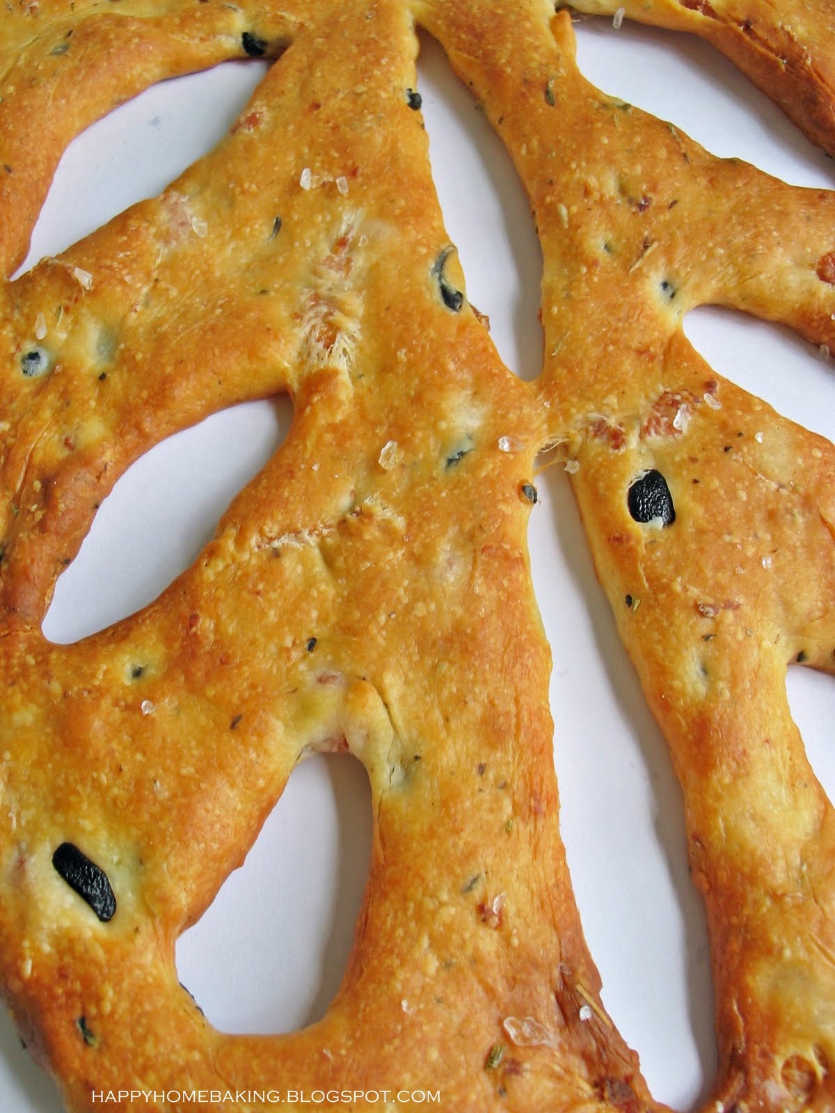 [fougasse+4.JPG]