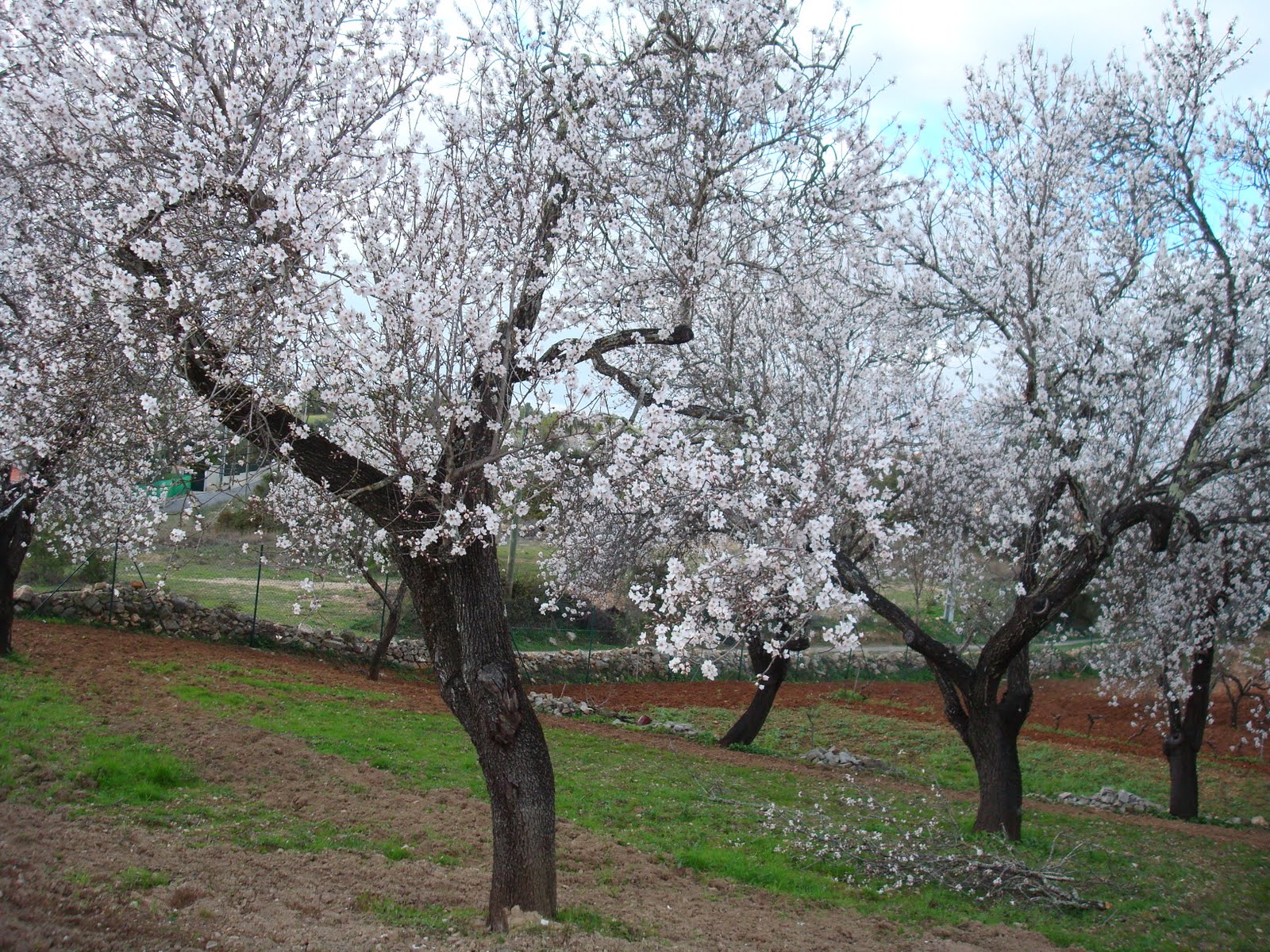 [DSC01174.JPG]