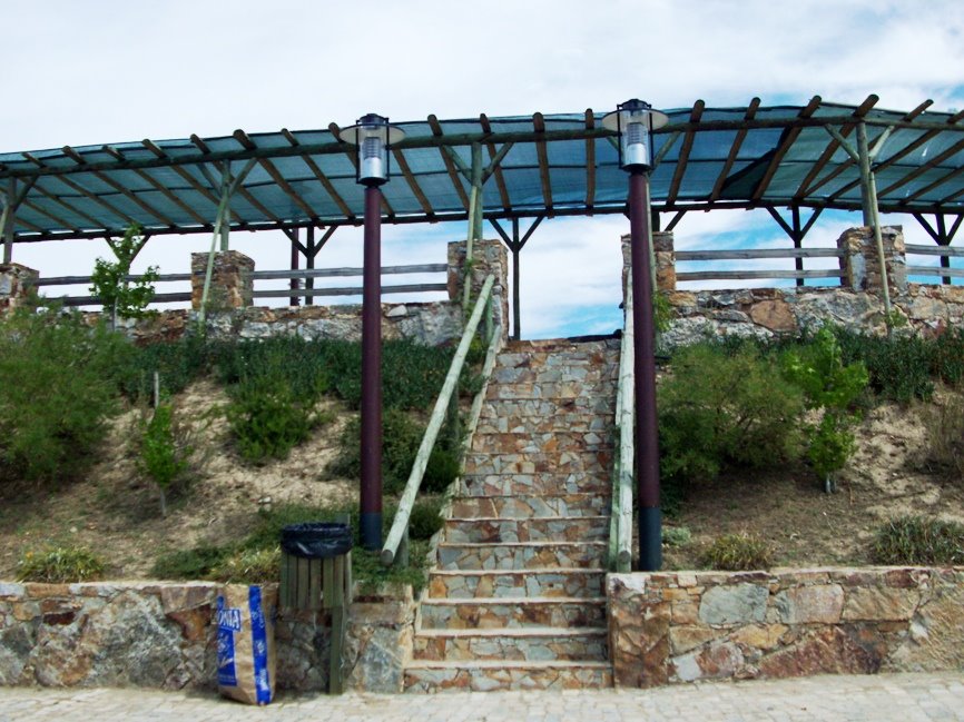 [HPIM0381.JPG]