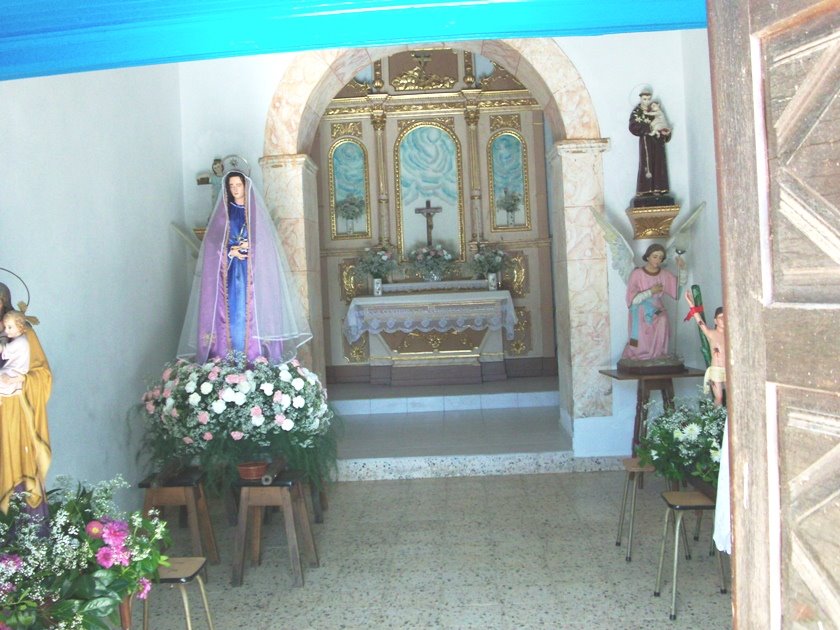 [HPIM0404.JPG]