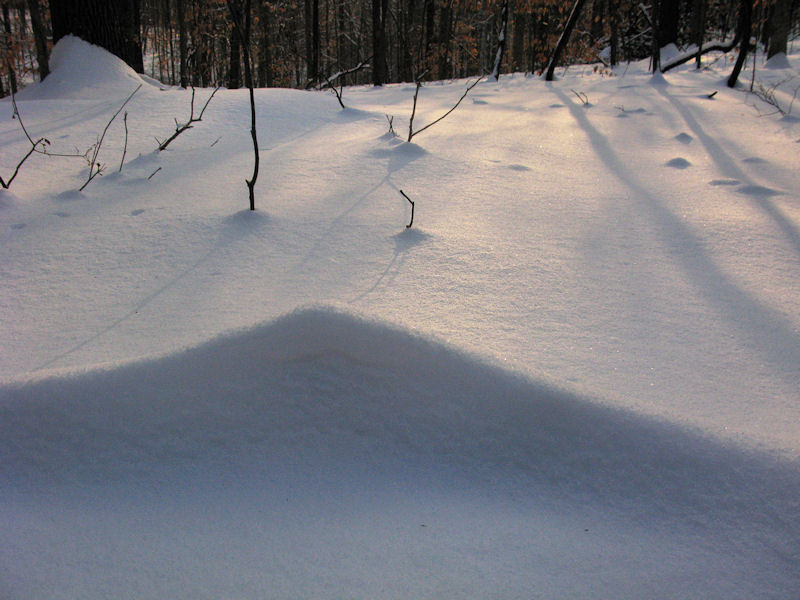 [snowshapes2009-01-30-3.jpg]