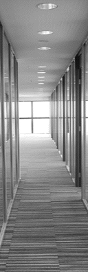 [edificio2.gif]
