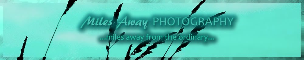 Miles Away Photography