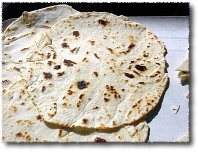basilico from , romagna romagna water dog. basilico from , romagna