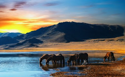 Beautiful Scenery Pictures, Free Scenery Background Photos, Wallpapers