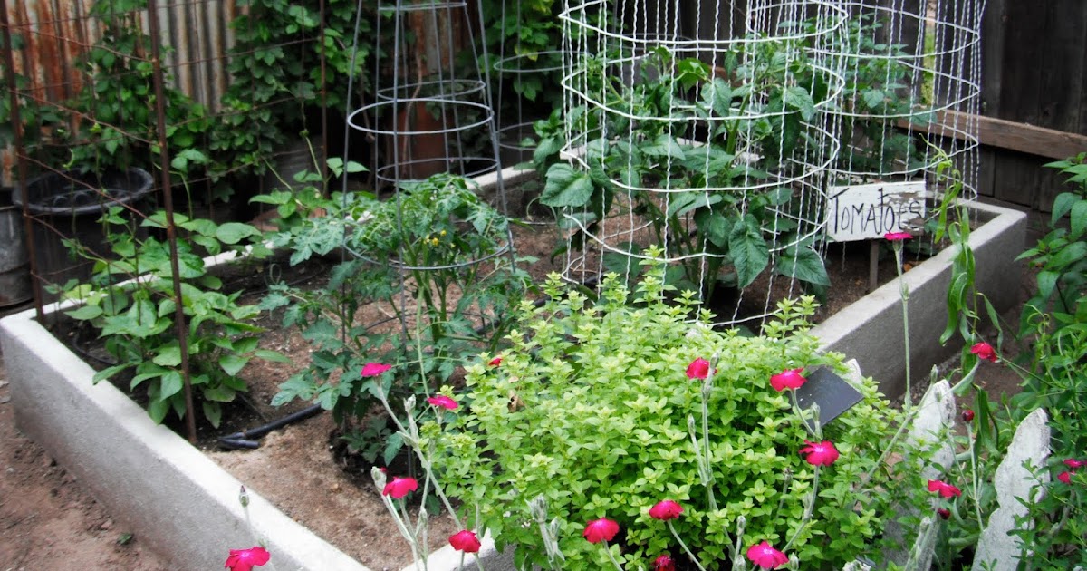 The Creative Gardener: New raised beds