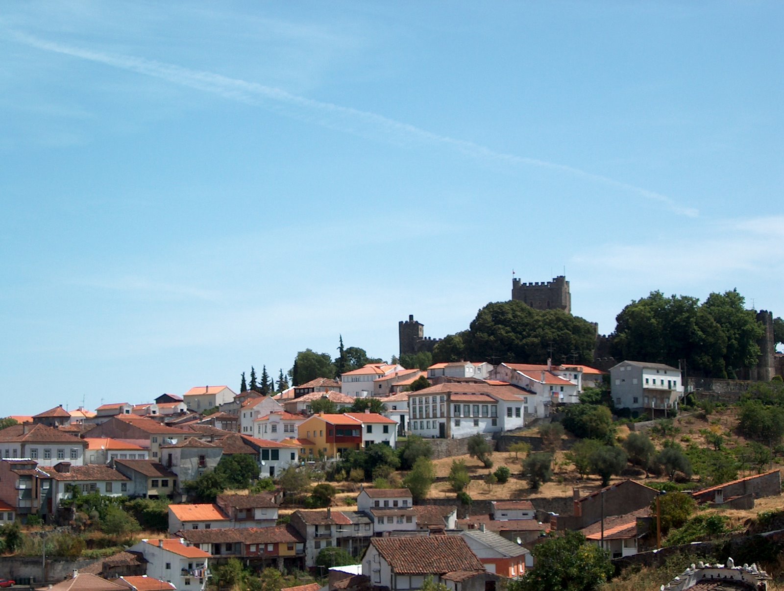 [BELVER2005+037.jpg]