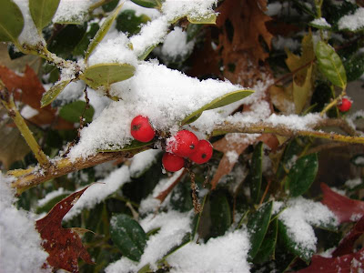 Let It Snow!