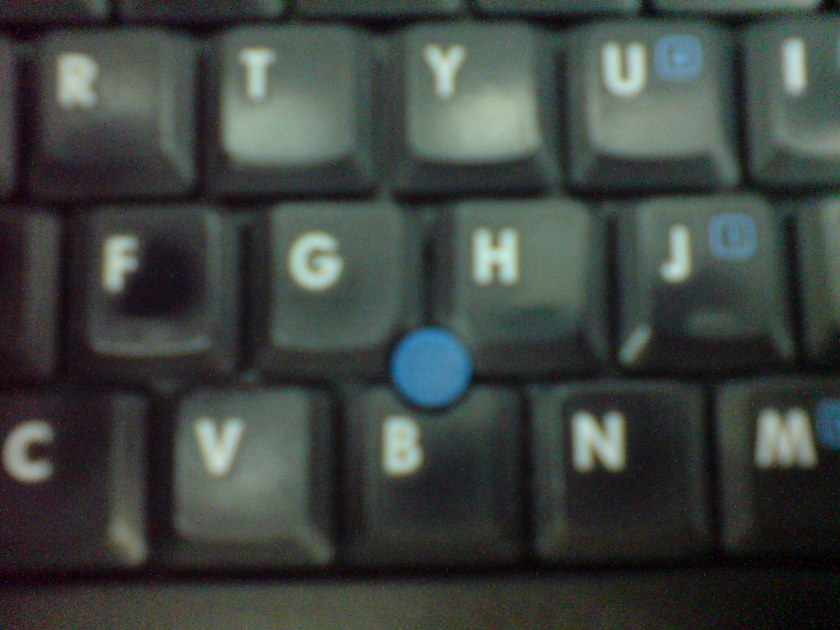 [DSC05907.JPG]