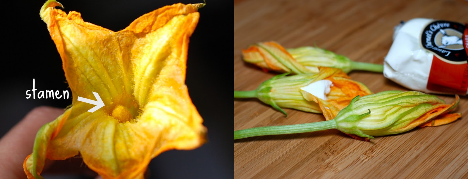 The Enchanted Cook Fried Squash Blossoms Stuffed with Goat Cheese