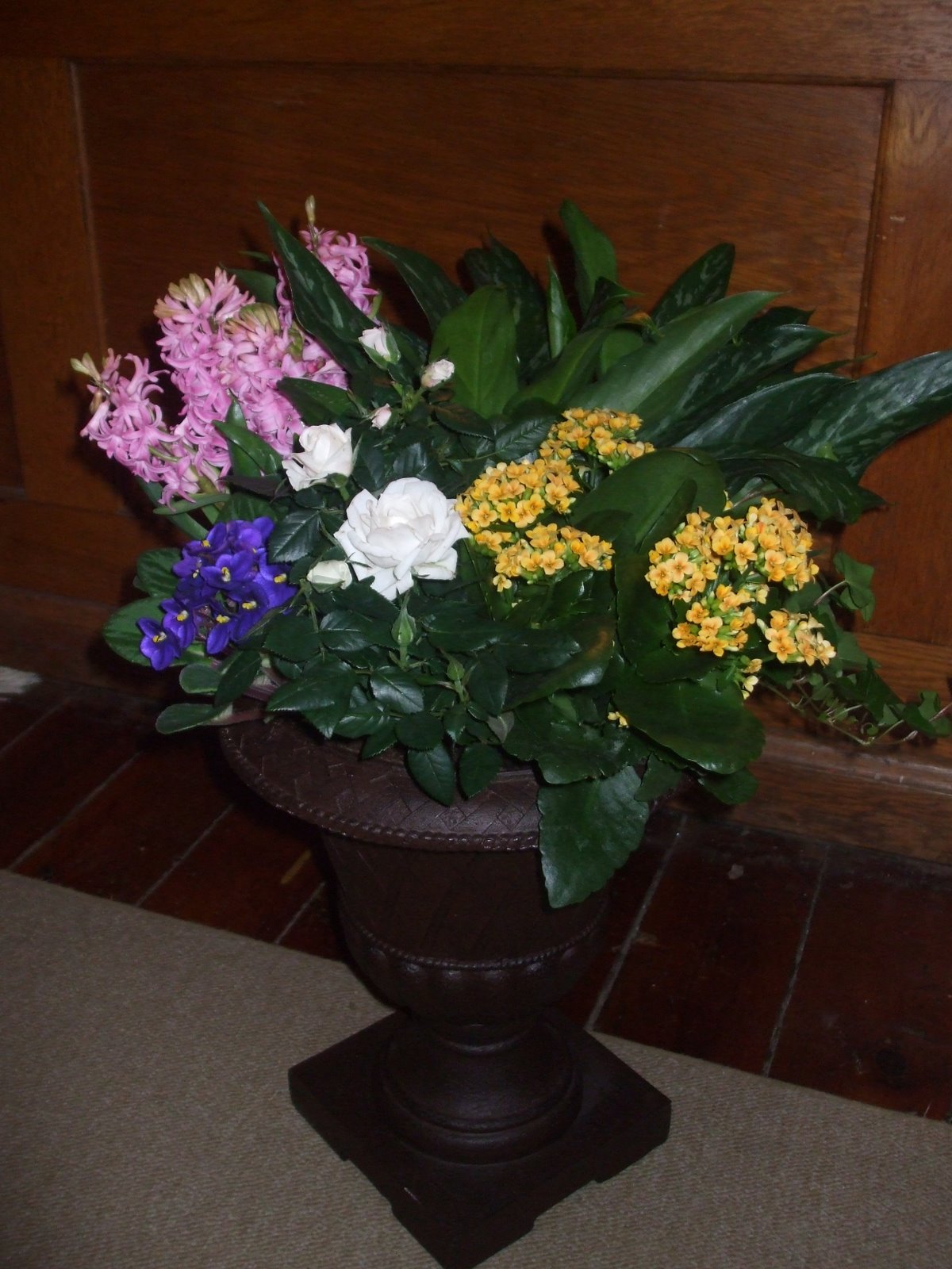 [DSCF2538.jpg]