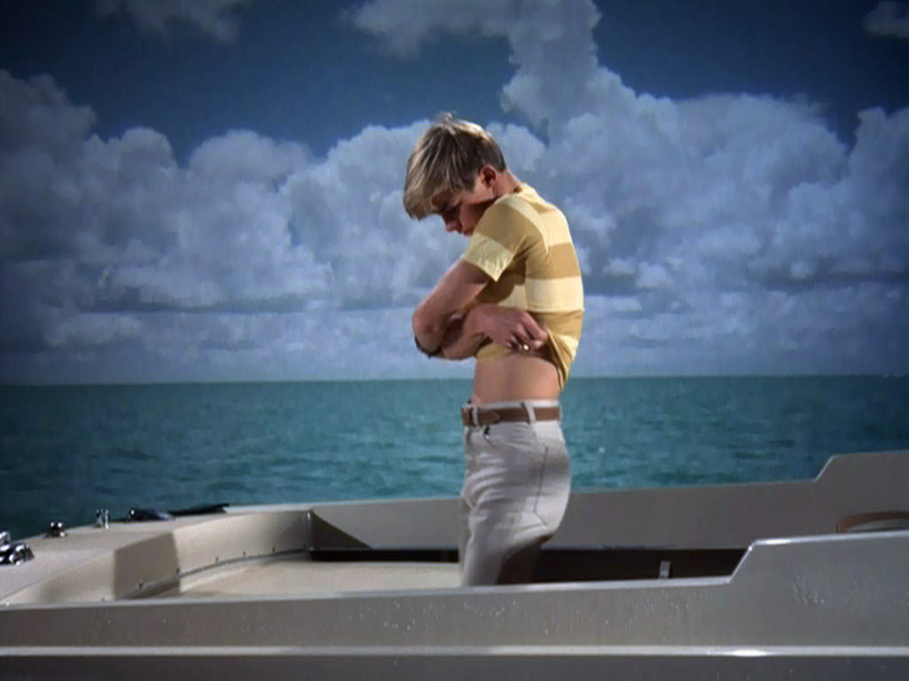 Pretty Pictures: 9/19/10 - 9/26...