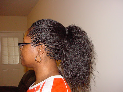 Kristen Lock The Blogspot Wet And Wavy Micro Braids