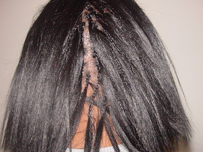 Kristen Lock The Blogspot Invisibles Individual Tree Braids kristen lock the blogspot