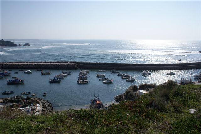 [DSC00312.JPG]