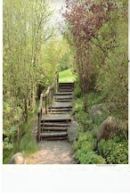 Mai im Britzer Garten 2006