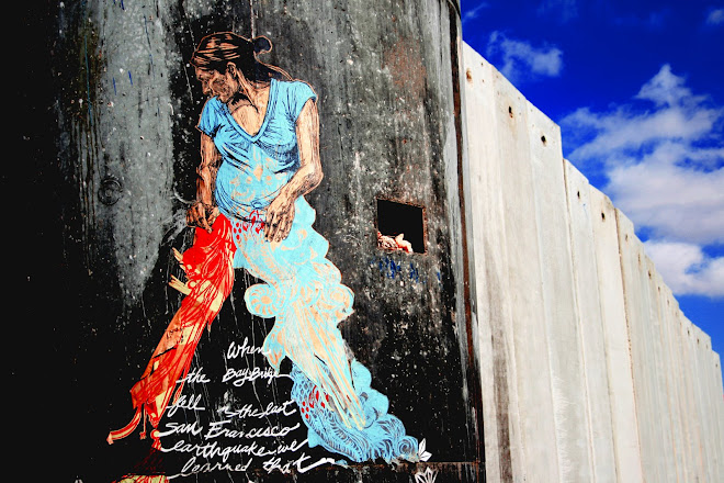 "MURO DE PALESTINA"