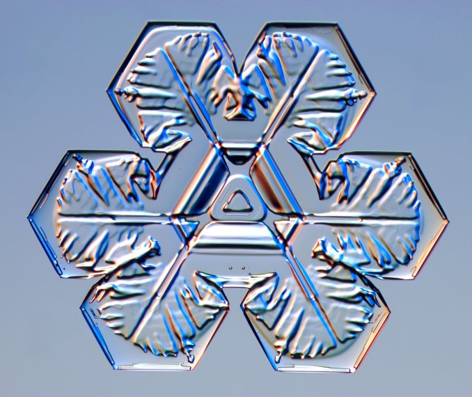 [snowflake4.jpg]