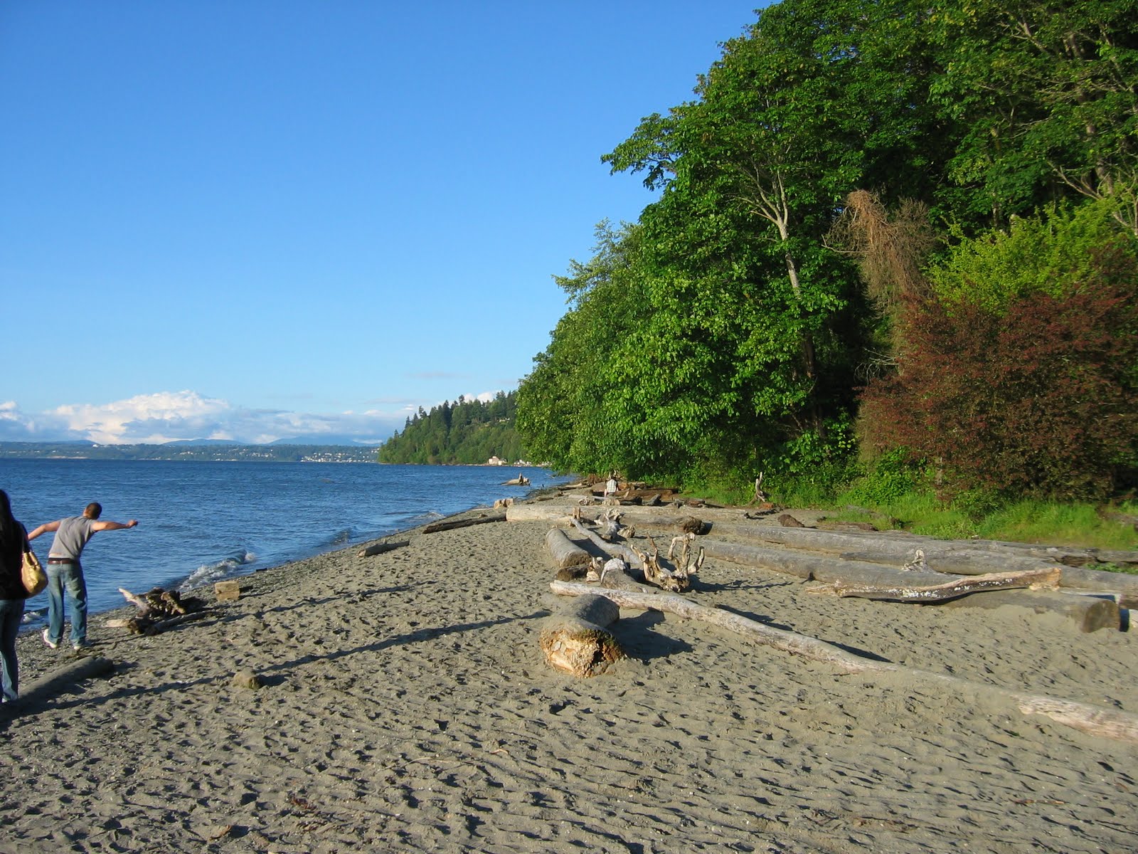 Dash Point