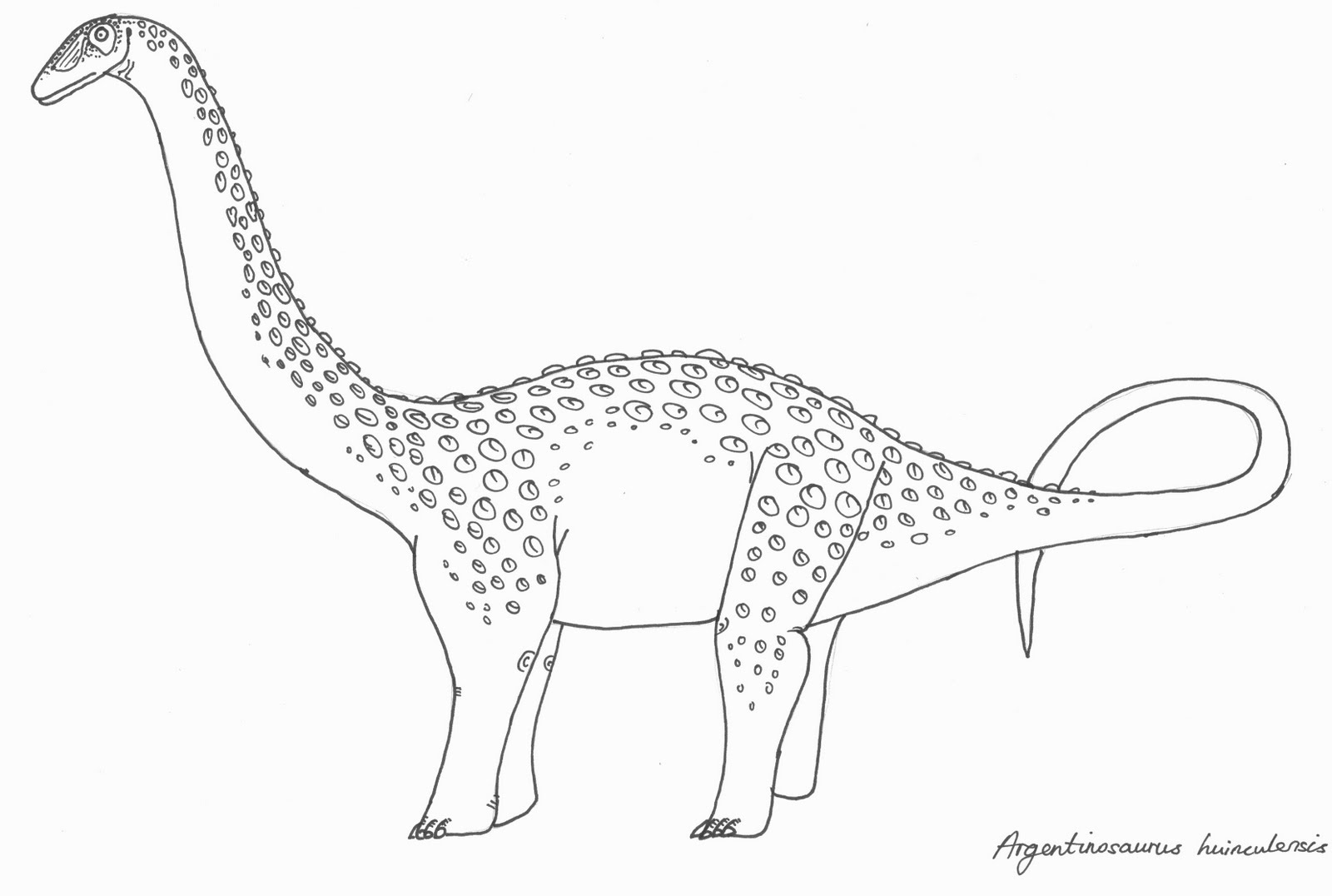 [argentinosaurus+huinculensis.JPG]